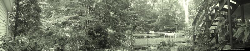 Home Back Yard