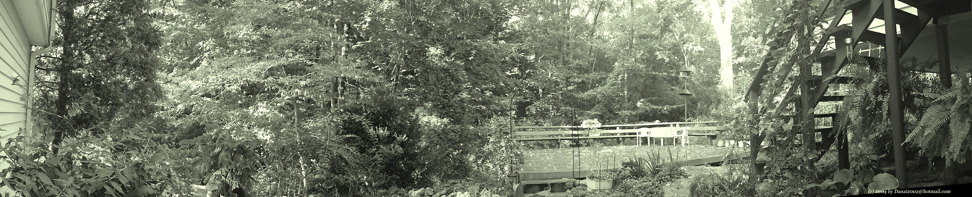 Home Back Yard