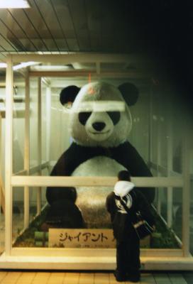 Panda Doll