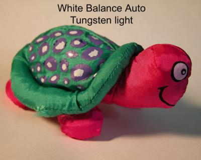 Wb-auto-tungsten-bulb.jpg