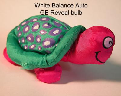 Wb-suto-reveal-bulb.jpg