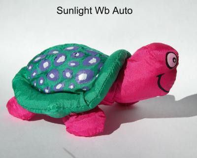 Sunlight-auto-wb.jpg