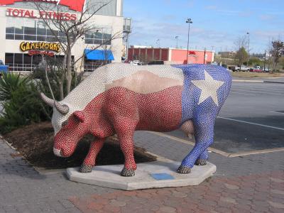 Lone Star Cow