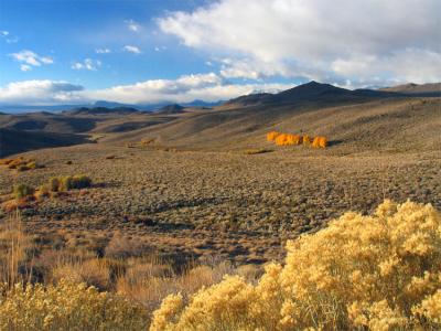 Looking west from near Bodie