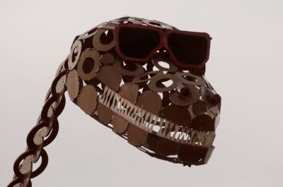 stegeyesarus