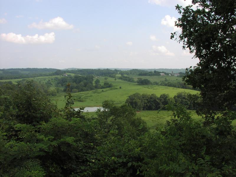 Another view