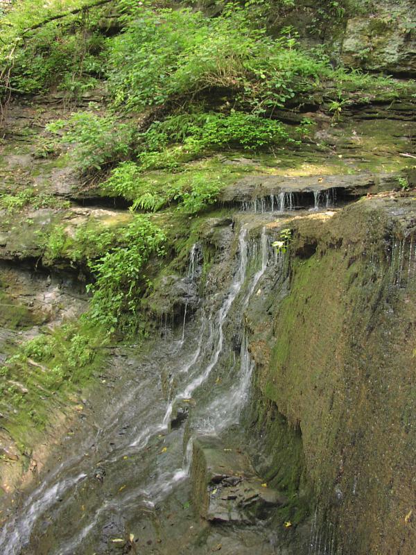 TN waterfall