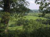 one more in TN