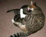YOU WILL HAVE A WASH BEFORE DINNER