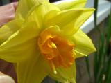 DSCF2730.JPG