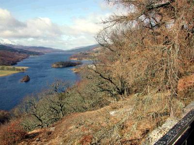 The Queens View