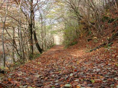 Killiecrankie