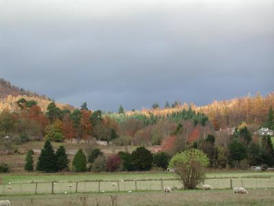 Dunkeld
