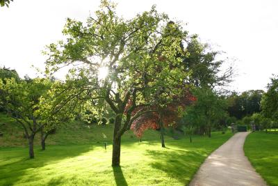 Gardens at Glen Grant Distillery