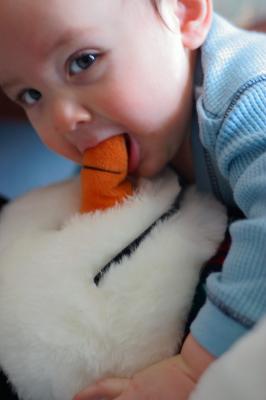 CRW_3867C.jpg
