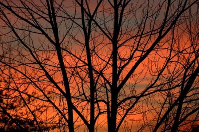 _MG_0174.jpg