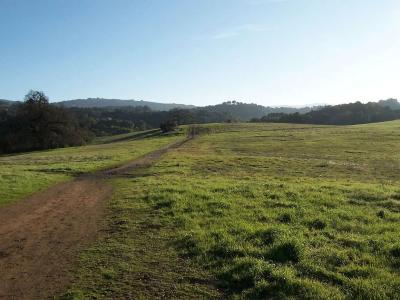 Big Meadow.jpg