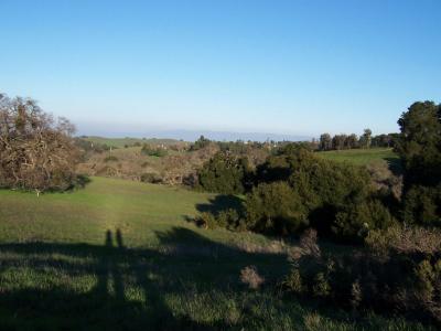 u15/jimholwerda/medium/38911264.RollingHills.jpg