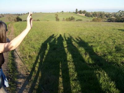 Shadows.jpg