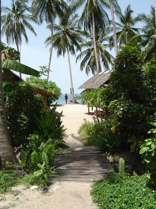 Ko Pha Ngan - walk from my hut to beach