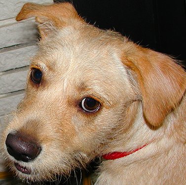10/01/2003  My little Baby Brody