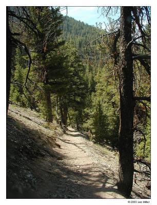 Trail9