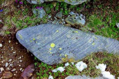 Une surprise sur le chemin : de quelle montagne vient-elle ?