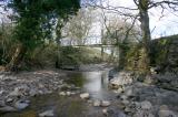 Wise Eels Bridge