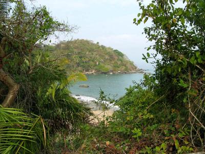 view from cemetery