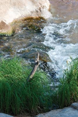 u15/jrn813/medium/20106310.PerdernalesFallsCreekII.jpg