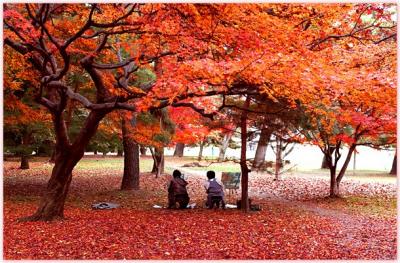 DSC_0382F.jpg