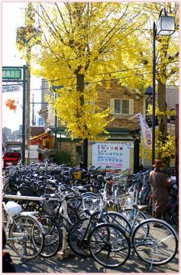 DSC_0329F.jpg