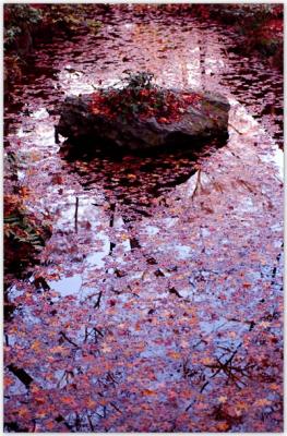 DSC_0366F.jpg