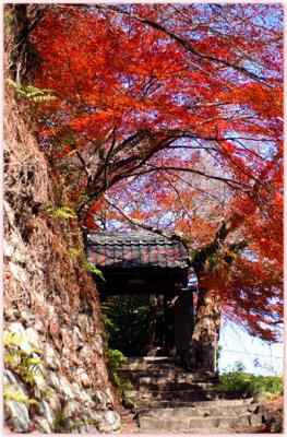 DSC_0409F.jpg