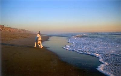 shiro at huntington dog beach.jpg