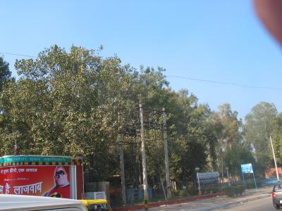 KMG_0998.jpg