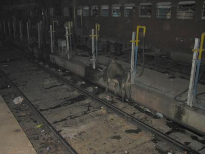 KMG_1376.jpg
