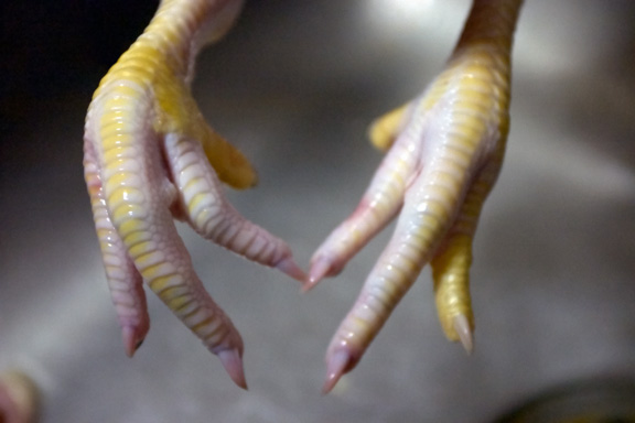 Chicken Feet