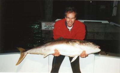 Yellowtail Kingfish (Cavalli Islands - June 1996)