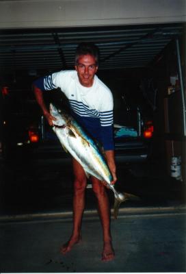 Yellowtail Kingfish (Rangitoto Channel)