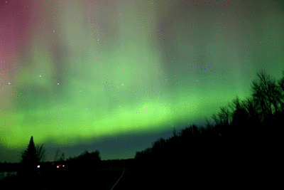 lights8.gif