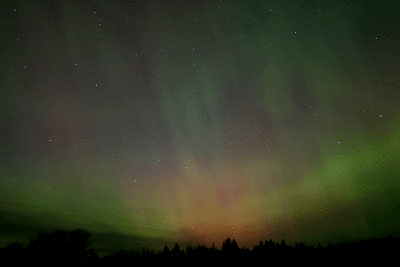 lights9.gif