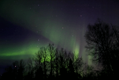 lights16.gif