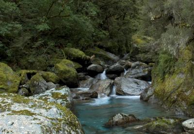 Gillespie Creek