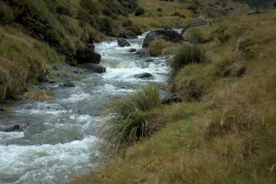 creek crossing 5