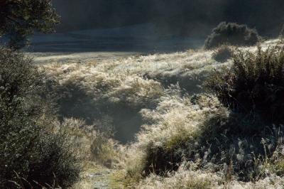 Siberia Valley