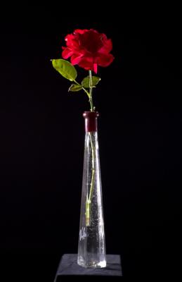 rose 39.jpg