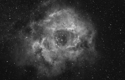u15/kjcphoto/medium/38811188.Rosettepbase.jpg