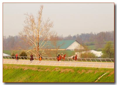 horses2453.jpg