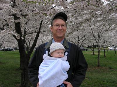 Amidst the Cherry Blossoms